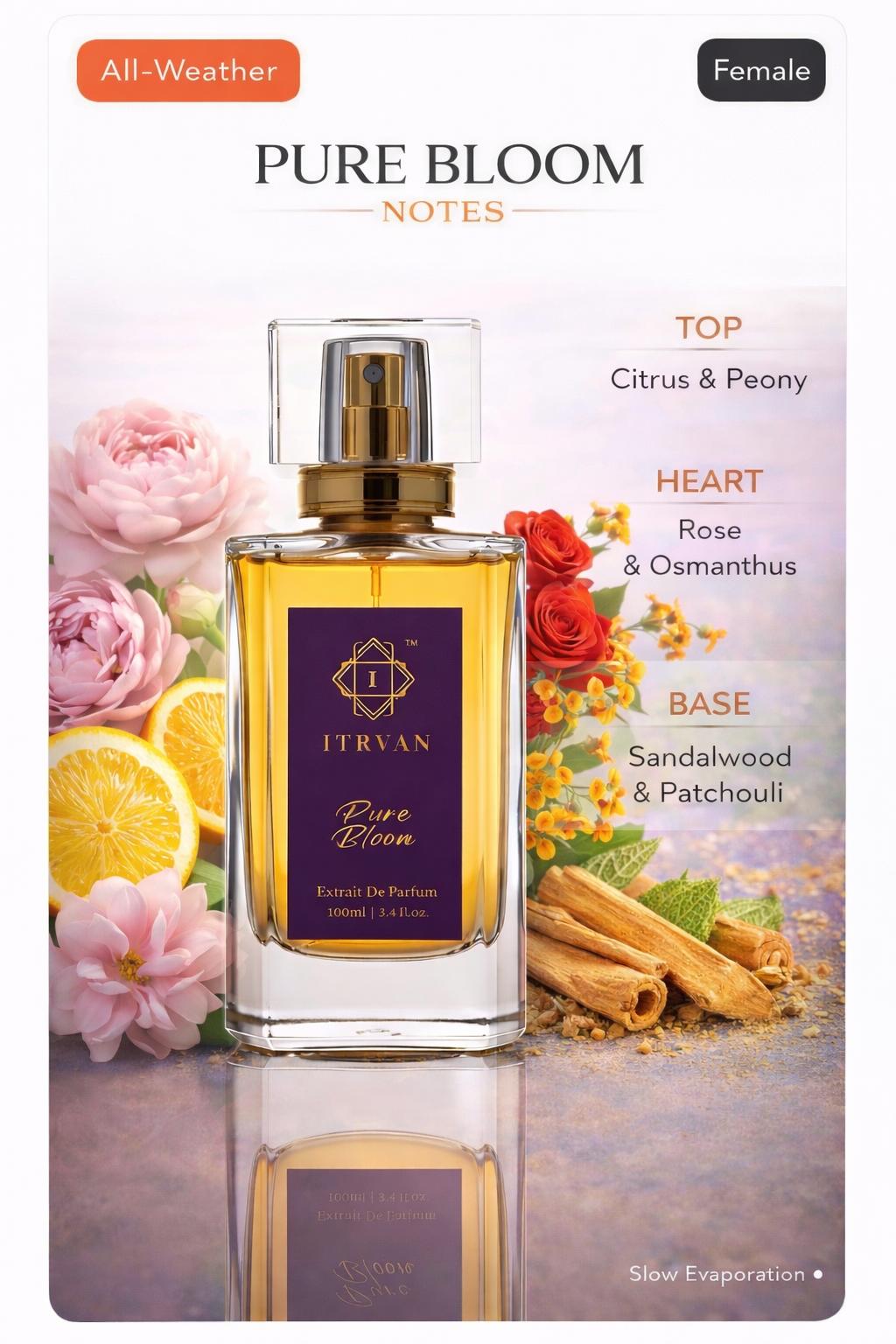 Instagram shop